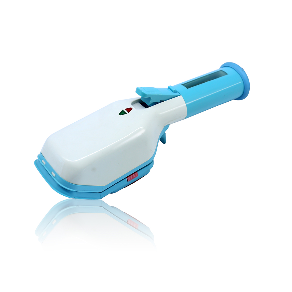 Handheld Garment Steamer